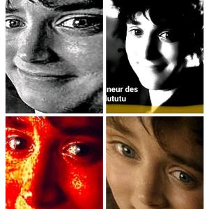 Le Seigneur Des Turlutus (Ou l'Aventure de Mr Frodon, qui croisera la route des mages sagaces, de Légueulasse le Prince des Lettres Salaces ainsi que de Gollum le Perfide aux Blanches Fesses : Récit d'un aller et d'un retour, et de la morale qu'on pourrai