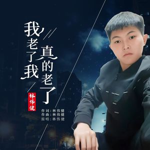 我老了我真的老了