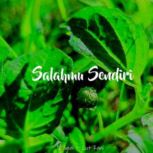Salahmu Sendiri (Remix)