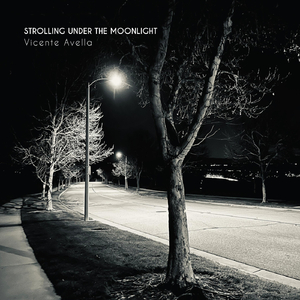 Strolling Under the Moonlight