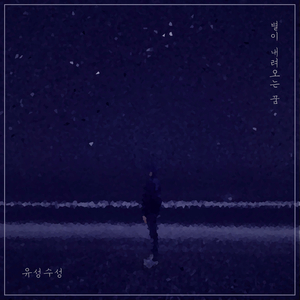 별이 내려오는 꿈