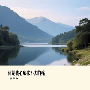 你是我心底抹不去的痛