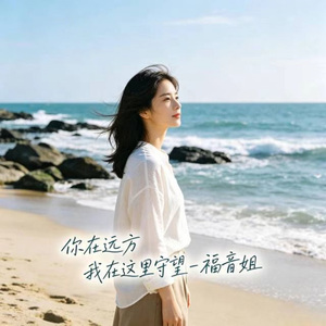 你在远方 我在这里守望 (DJ涵涵版)