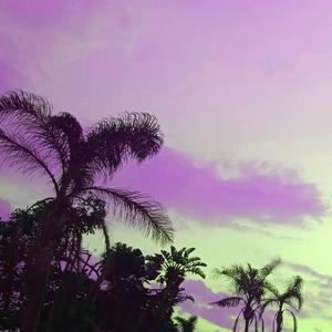 Real Racing Roots '99!