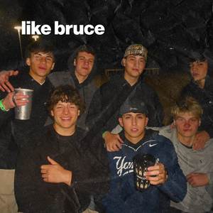 like bruce