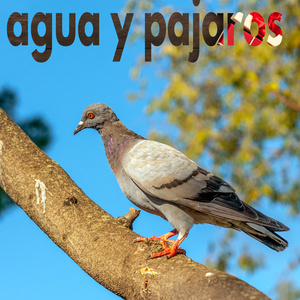 mente en blanco