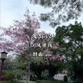 爱你更爱你 (DJ风景线 remix)