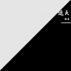 全粤语Electro风格TECHMl私人专属v3慢摇串烧（孤岛 remix）