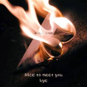 很高兴认识你，再见