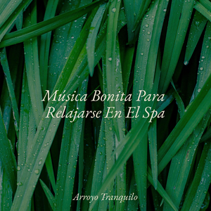 Mañanas Soleadas De Primavera