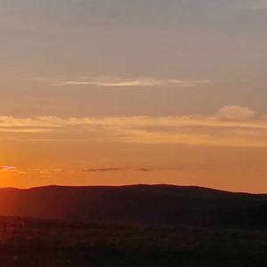 细数年轮里的旧时光