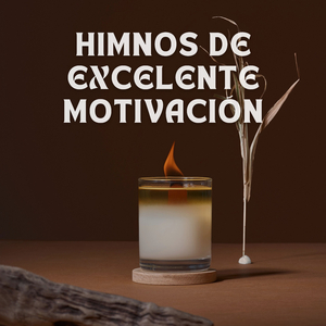Conclusiones