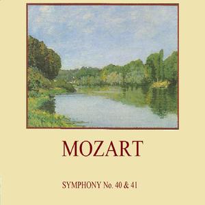 Symphony No. 40 in G Minor, K. 550: I. Molto Allegro