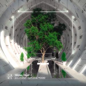 Ai. (Slowed + Reverb)