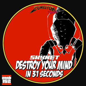 31 Seconds (SkyNet Remix)