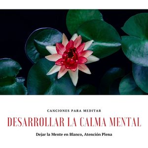 Música Anti Nerviosismo