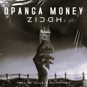 Opanga Money