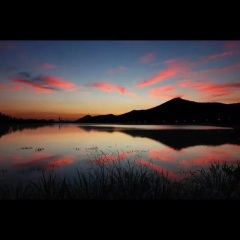 如果看到她,请告诉我 (Demo)