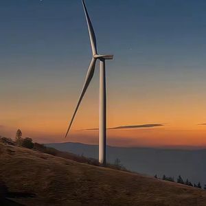 对望时的孤独恋曲