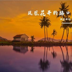 凤凰花开的路口