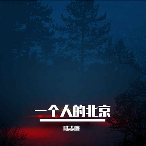 一个人的北京