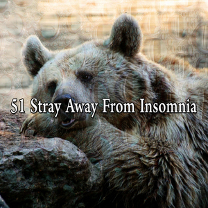 解放你的大腦去睡覺