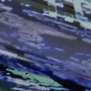 Здесь красивые пейзажи?