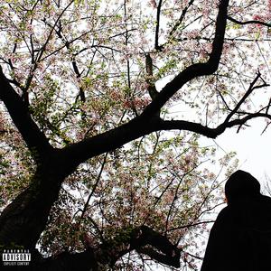 REAPER (feat. AllyxWay)