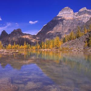 因为你的存在我勇敢生活