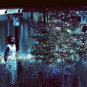 Savannah Sparrow (for and after Kenita Miller)