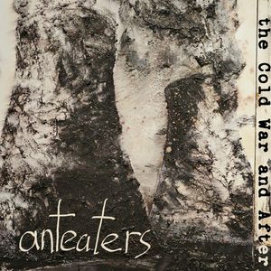 The Cold War and After