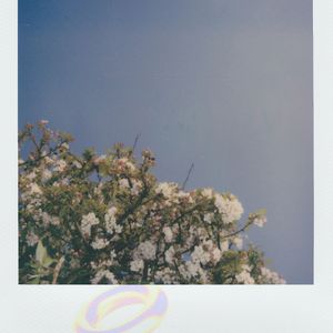 Teri Galiyu (Short Ver)