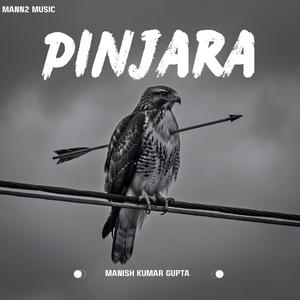 Pinjara