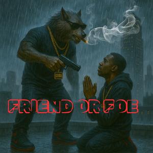 Friend or Foe