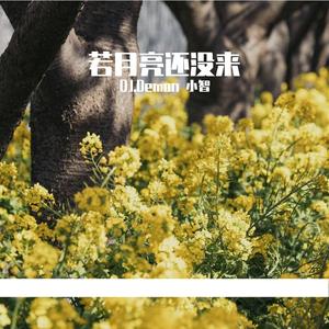 王宇宙Leto-王宇宙Leto、乔浚丞 - 若月亮没来 (若是月亮还没来）（DJ.Demon 小智 remix）