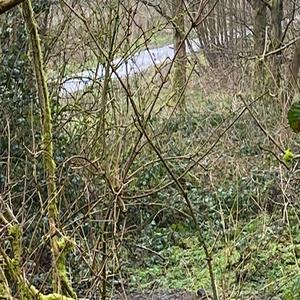 These Streets (feat. Distrokid)