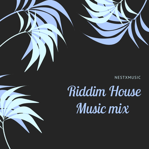 Riddim (House Music Mix)