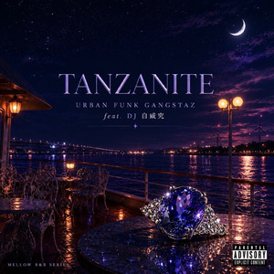 TANZANITE (2026 Remix)