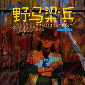 音乐日记（完整版）