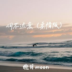 词不达意 (柔情版)