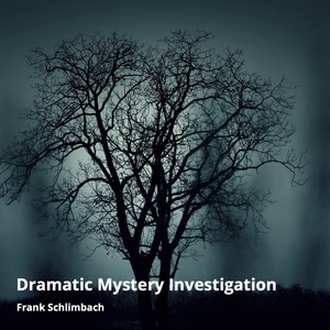 Dramatic Mystery Investigation