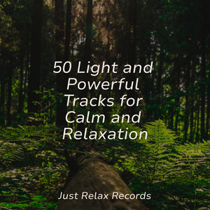 Fleeting Luminosity at Daybreak