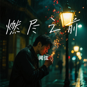 燃尽之前
