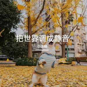 我的破碎无人缝补