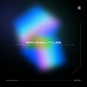 Space Shuttles (Original Mix)