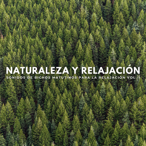 Música De La Naturaleza Tranquila