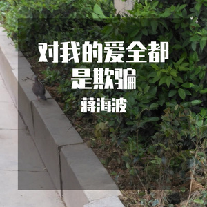 对我的爱全都是欺骗