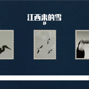 从江西来的雪