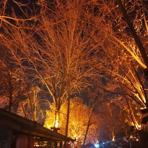 第十年的风-AkjanHala