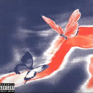 等海水变蓝一封信从2023年夏天邮寄